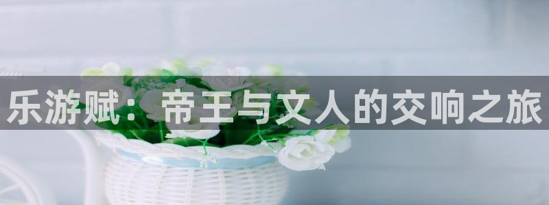 泰达娱乐k