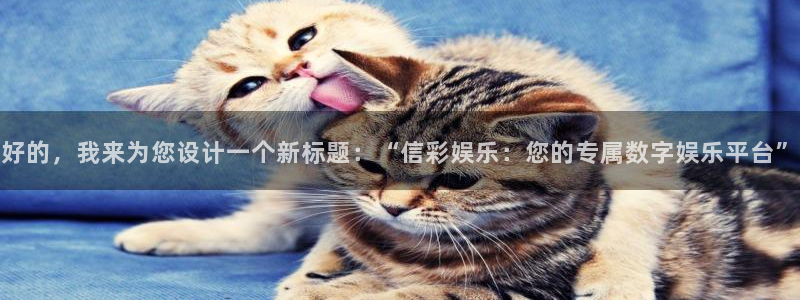 泰达娱乐体育热门赛事有哪些