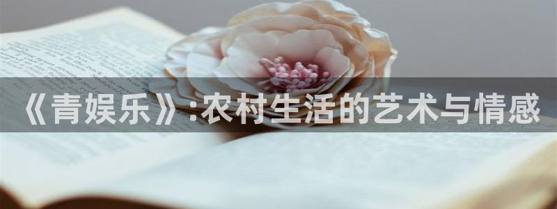 泰达娱乐体育app下载：《青娱乐》:农村生活的艺术与情感