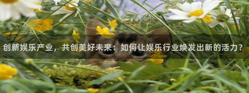 泰达娱乐游戏有哪些好玩的：创新娱乐产业，共创美好未来：如何让娱乐行业焕发出新的活力？