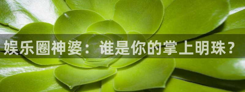 泰达娱乐路线1：娱乐圈神婆：谁是你的掌上明珠？