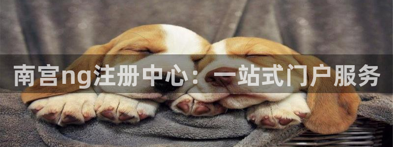 泰达娱乐体育代理：南宫ng注册中心：一站式门户服务