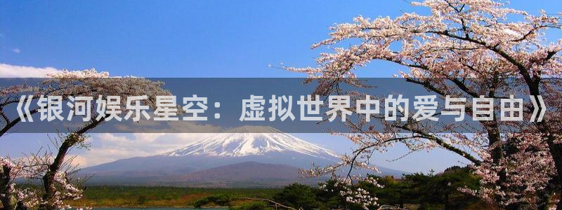 泰达娱乐2代理注册：《银河娱乐星空：虚拟世界中的爱与自由》