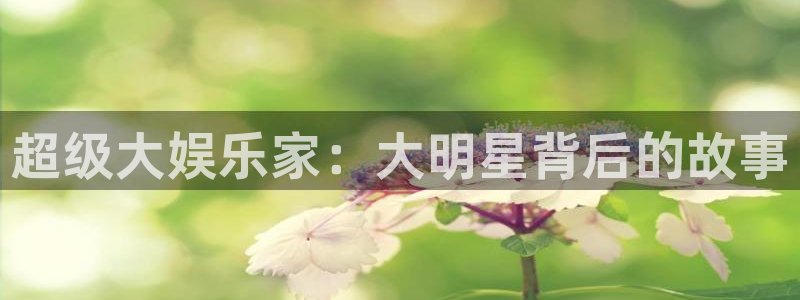 福建泰达娱乐机电股份公司：超级大娱乐家：大明星背后的故事