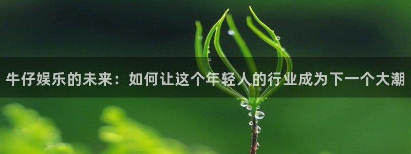 泰达娱乐体育官网入口登录：牛仔娱乐的未来：如何让这个年轻人的行业成为下一个大潮