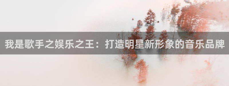 泰达娱乐2平台登录：我是歌手之娱乐之王：打造明星新形象的音乐品牌