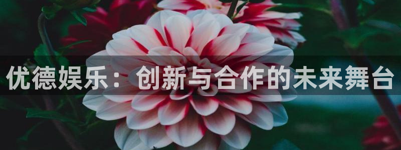泰达娱乐电子娱乐官网下载：优德娱乐：创新与合作的未来舞台