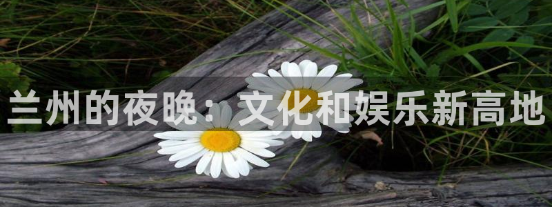 泰达娱乐游戏：兰州的夜晚：文化和娱乐新高地