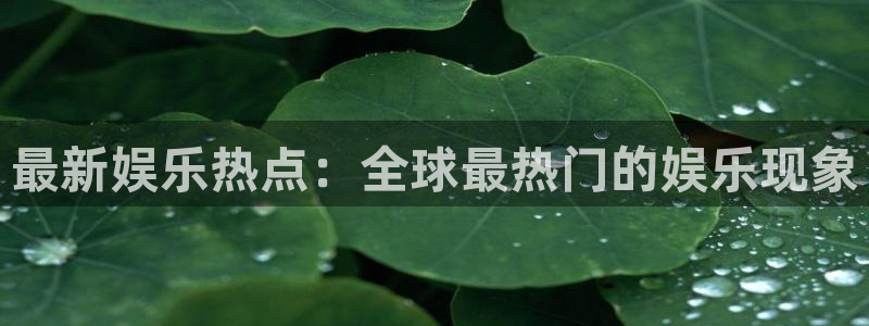 pg泰达娱乐平台下载入口：最新娱乐热点：全球最热门的娱乐现象