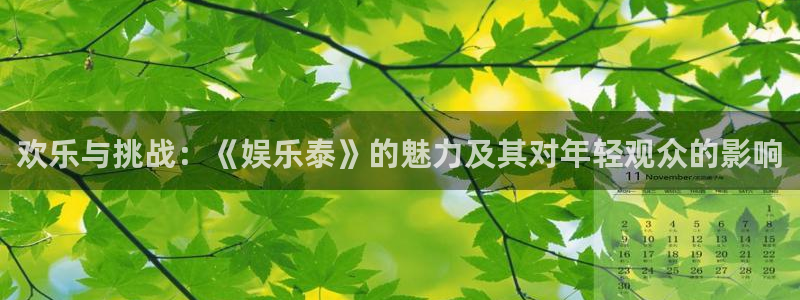 泰达娱乐2登录地址：欢乐与挑战：《娱乐泰》的魅力及其对年轻观众的影响