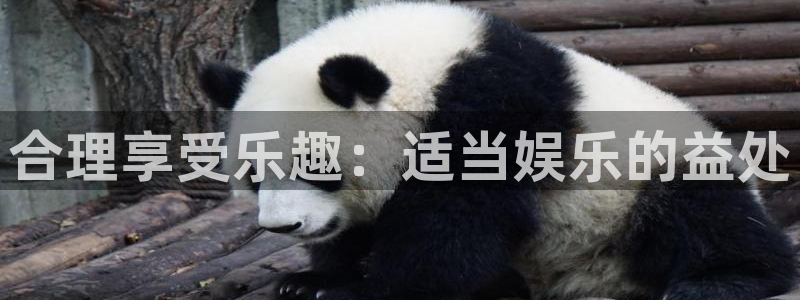 泰达娱乐是大平台吗：合理享受乐趣：适当娱乐的益处