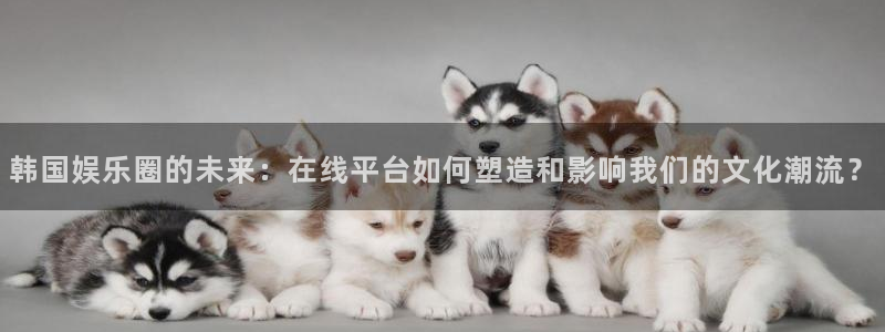 泰达娱乐平台招商：韩国娱乐圈的未来：在线平台如何塑造和影响我们的文化潮流？