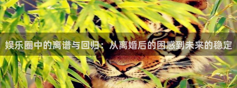 泰达娱乐体育2官网入口：娱乐圈中的离谱与回归：从离婚后的困惑到未来的稳定