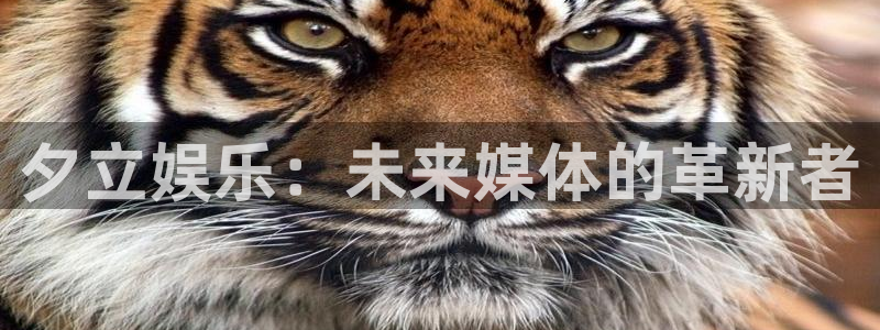 泰达娱乐体育凯捷登陆：夕立娱乐：未来媒体的革新者