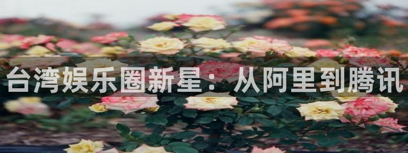 泰达娱乐体育官网：台湾娱乐圈新星：从阿里到腾讯