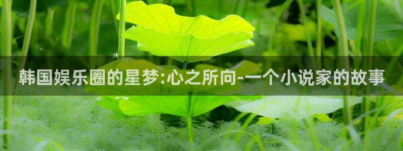 泰达娱乐官网注册：韩国娱乐圈的星梦:心之所向-一个小说家的故事