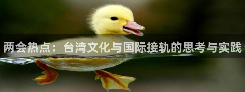 泰达娱乐加拿大在线预测：两会热点：台湾文化与国际接轨的思考与实践