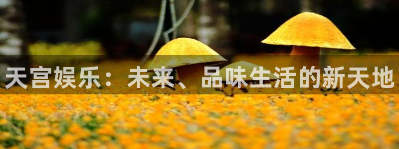 泰达娱乐注册入口与教程：天宫娱乐：未来、品味生活的新天地