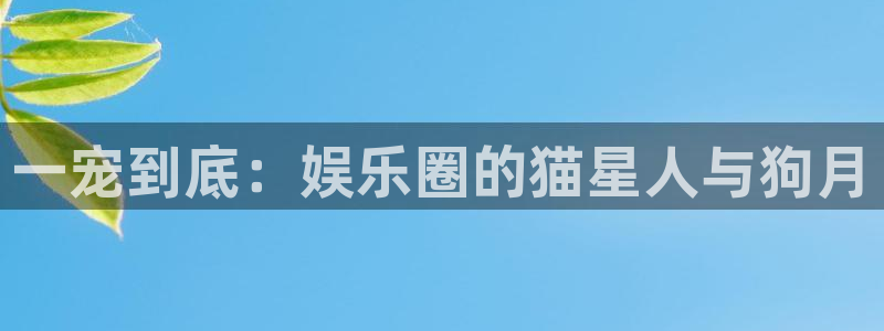 泰达娱乐quan28.cc：一宠到底：娱乐圈的猫星人与狗月