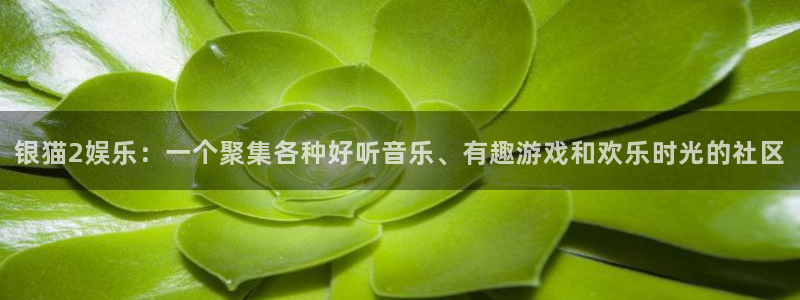泰达娱乐体育f开号：银猫2娱乐：一个聚集各种好听音乐、有趣游戏和欢乐时光的社区
