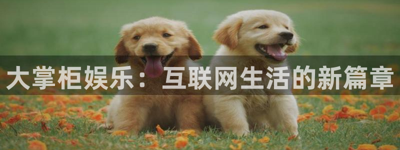 泰达娱乐是什么平台：大掌柜娱乐：互联网生活的新篇章