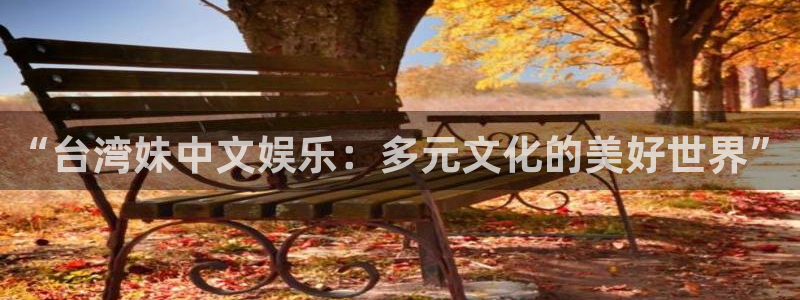 泰达娱乐平台注册：“台湾妹中文娱乐：多元文化的美好世界”