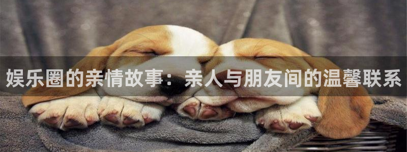 泰达娱乐零能源集团：娱乐圈的亲情故事：亲人与朋友间的温馨联系