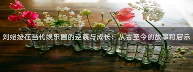 泰达娱乐电子娱乐官网下载：刘姥姥在当代娱乐圈的逆袭与成长：从古至今的故事和启示