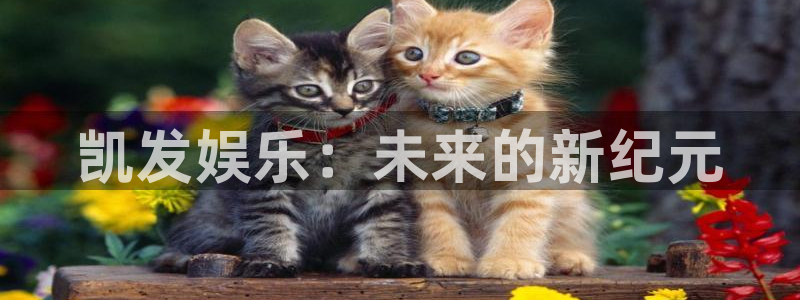 泰达娱乐游戏试玩：凯发娱乐：未来的新纪元