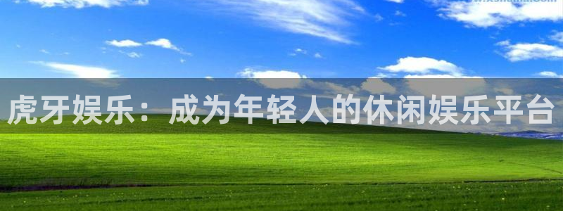 泰达娱乐集团：虎牙娱乐：成为年轻人的休闲娱乐平台