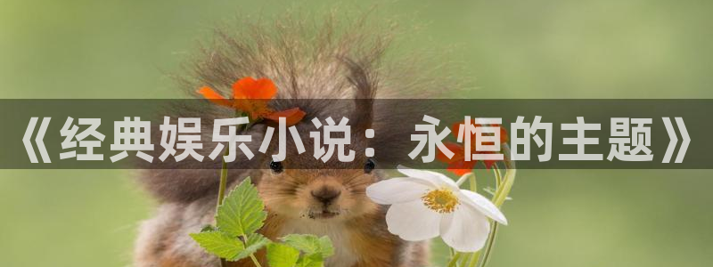 泰达娱乐.com：《经典娱乐小说：永恒的主题》