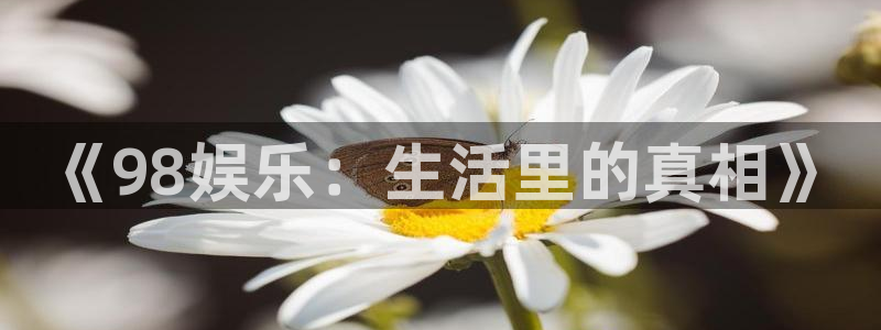 泰达娱乐平台链接：《98娱乐：生活里的真相》